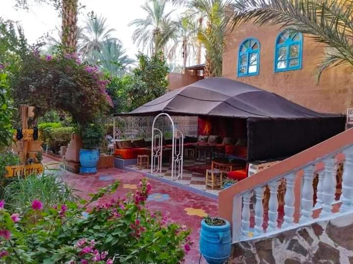 Chez Ali Hotel Zagora Exterior photo